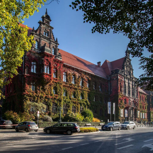 Illustracja dla członka WROt: Muzeum Narodowe we Wrocławiu