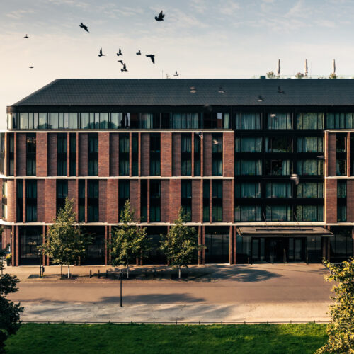 Illustracja dla członka WROt: The Bridge MGallery Wroclaw